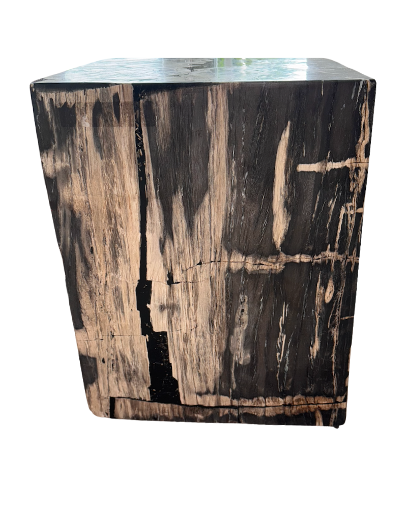 Petrified End Table, Round - Dark Wood