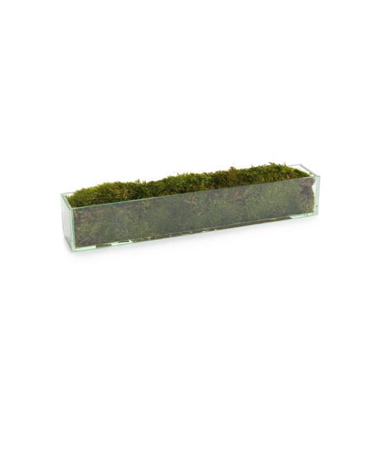 John Richard Moss Mound - Green