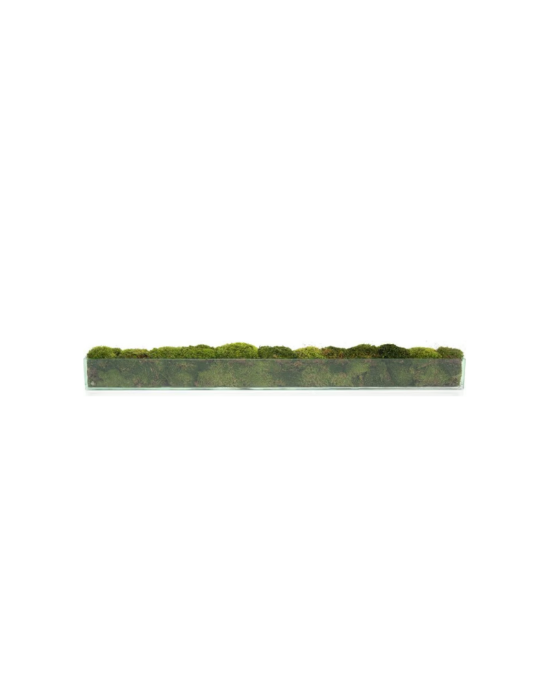 John Richard Moss Mound Large- Green